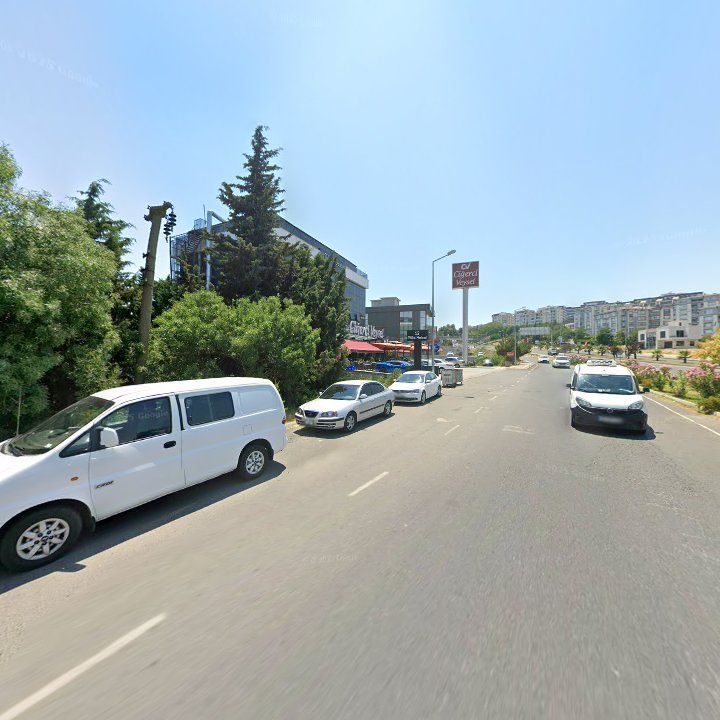 Fotoğraf 9