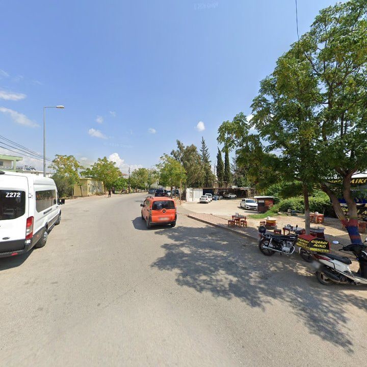 Fotoğraf 9