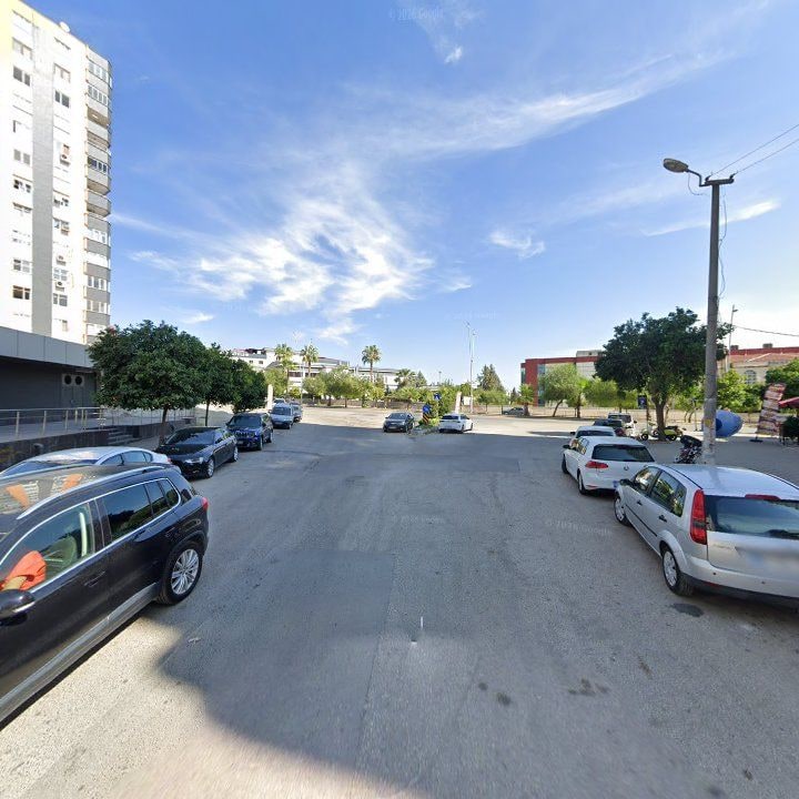 Fotoğraf 8
