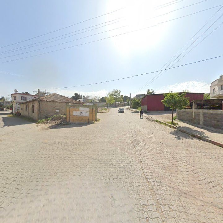 Fotoğraf 8