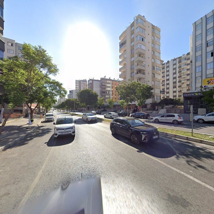 Fotoğraf 7