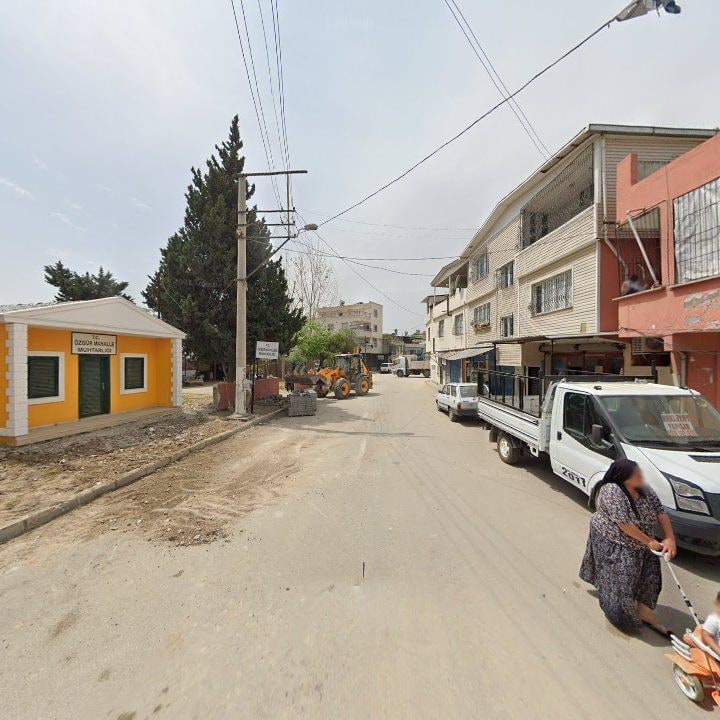 Fotoğraf 7