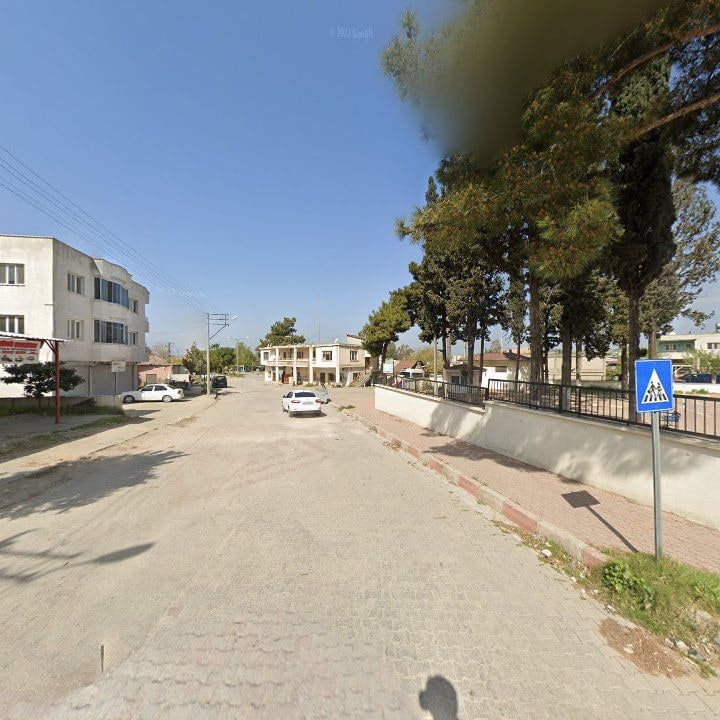Fotoğraf 6