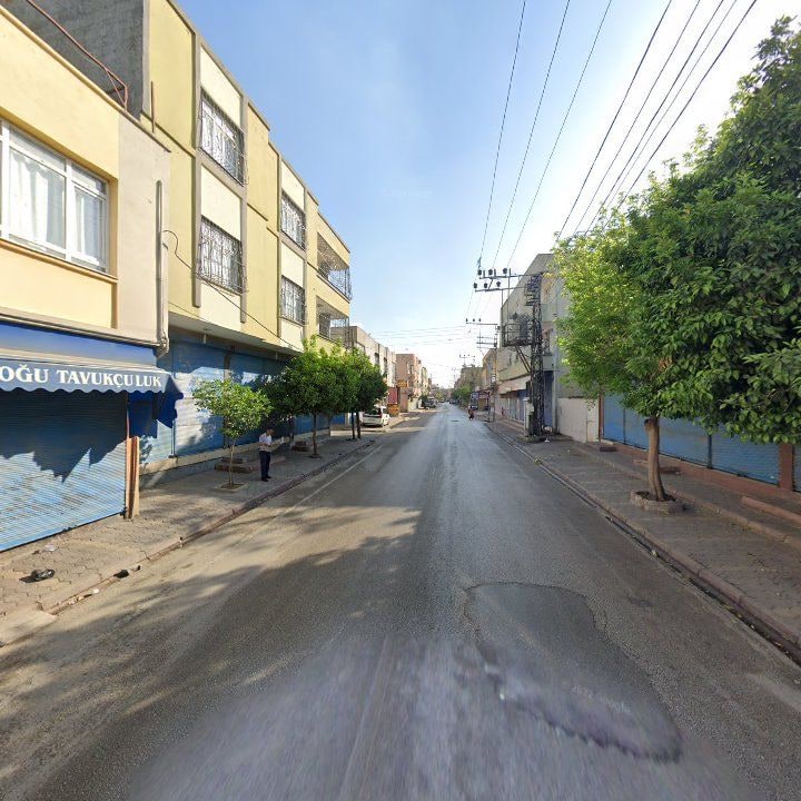 Fotoğraf 7