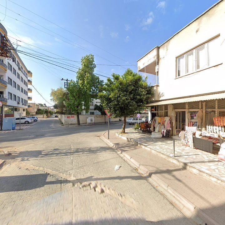 Fotoğraf 9