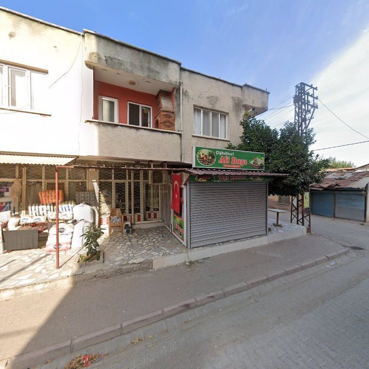 Fotoğraf 6