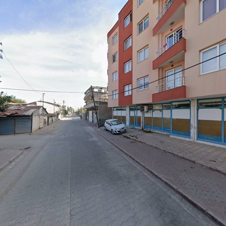 Fotoğraf 7