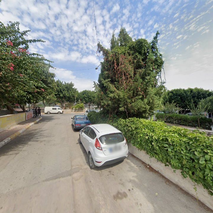 Fotoğraf 3