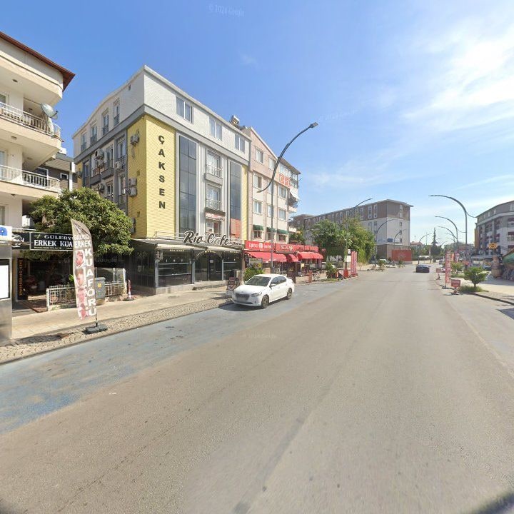 Fotoğraf 8