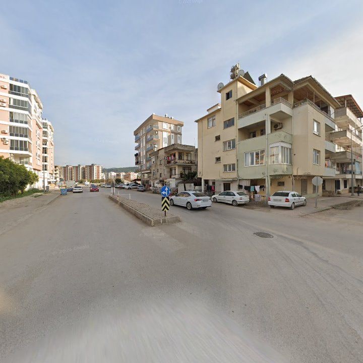 Fotoğraf 7