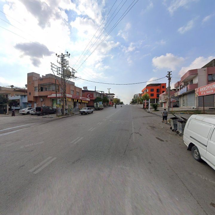 Fotoğraf 9