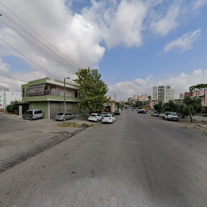 Fotoğraf 7