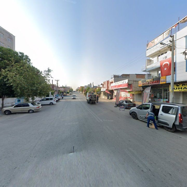 Fotoğraf 9