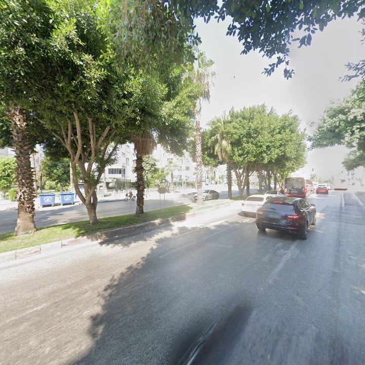 Fotoğraf 10