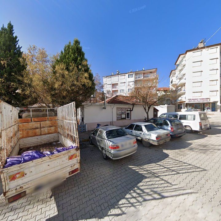 Fotoğraf 12