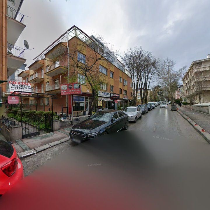 Fotoğraf 11