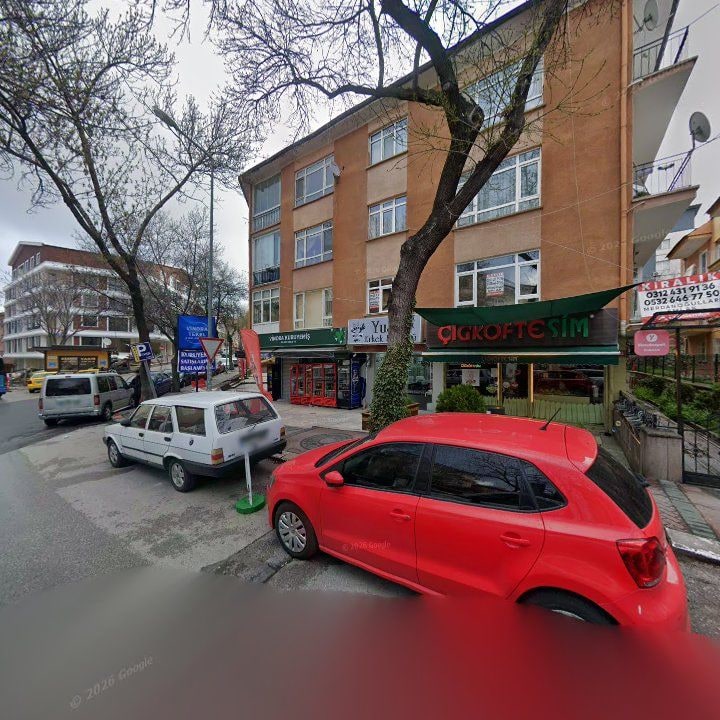 Fotoğraf 10