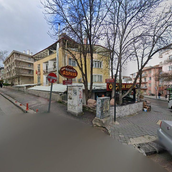 Fotoğraf 12