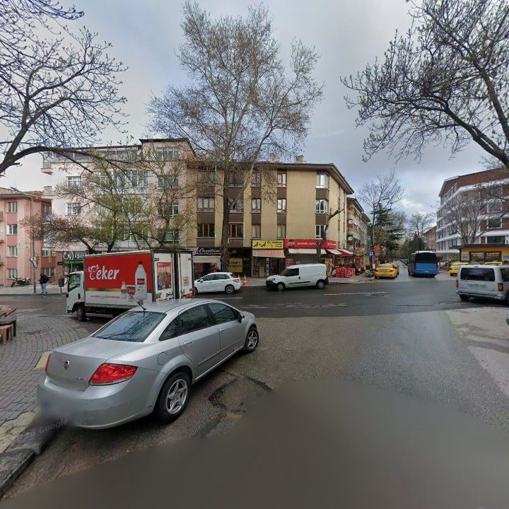 Fotoğraf 13