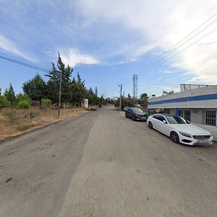 Fotoğraf 9