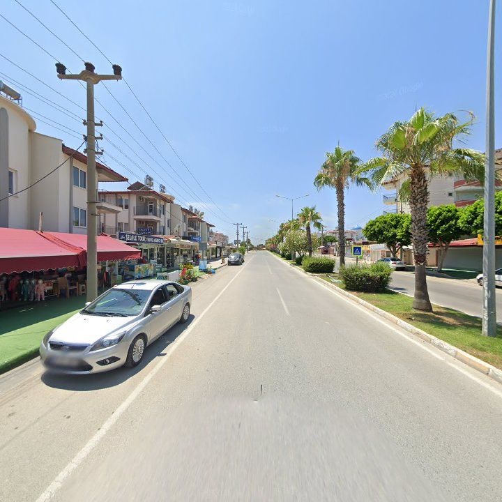 Fotoğraf 15