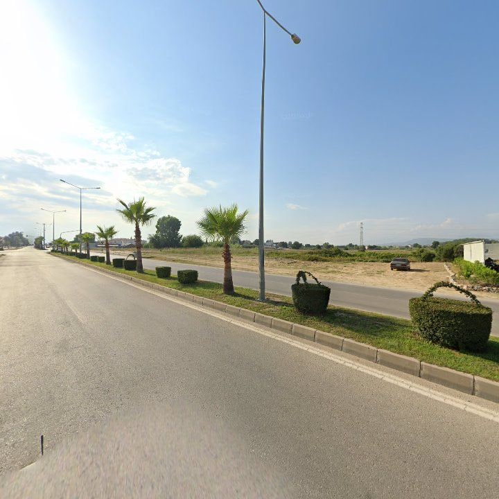 Fotoğraf 10