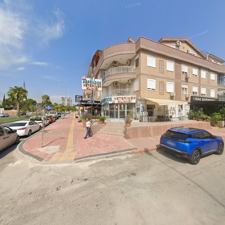 Fotoğraf 2