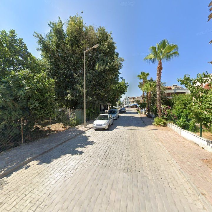 Fotoğraf 8