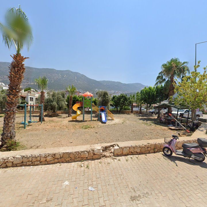 Fotoğraf 7