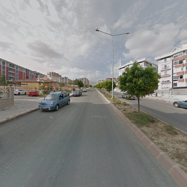 Fotoğraf 6