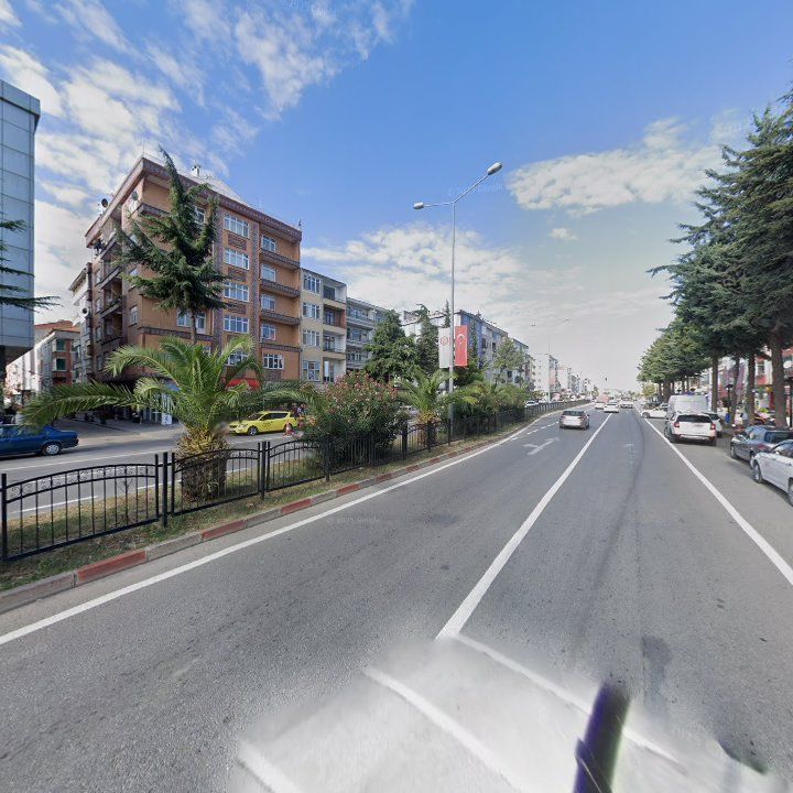 Fotoğraf 10