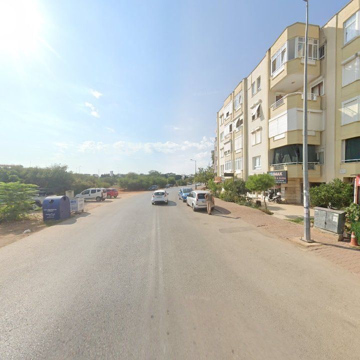 Fotoğraf 10