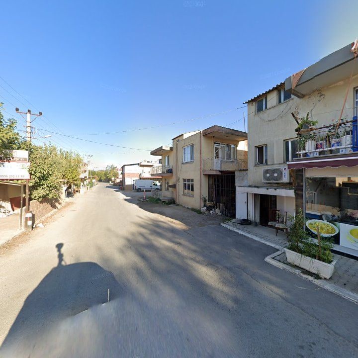 Fotoğraf 7