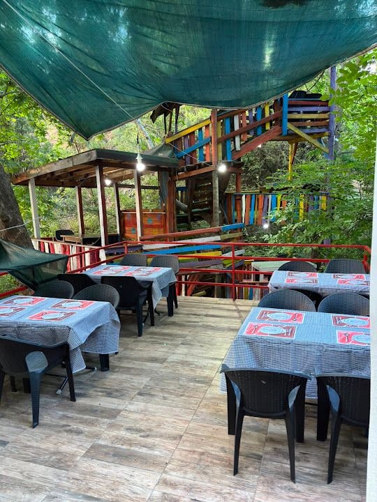 çınar altı doğa restaurant