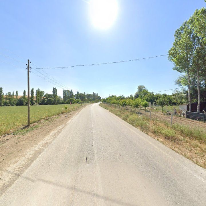Fotoğraf 8