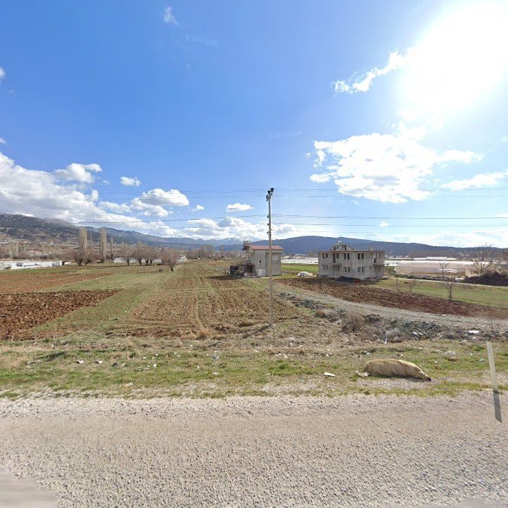 Fotoğraf 9