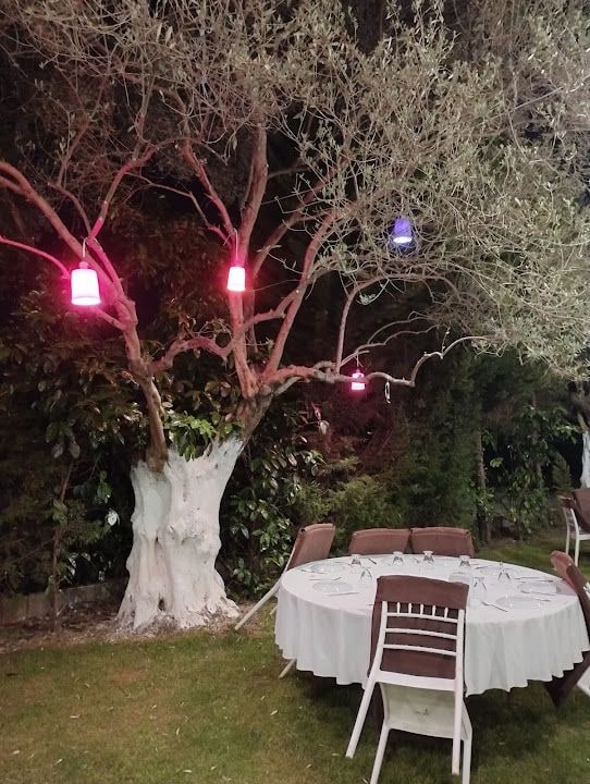 cinar restaurant kahvalti ve kir dugun salonu