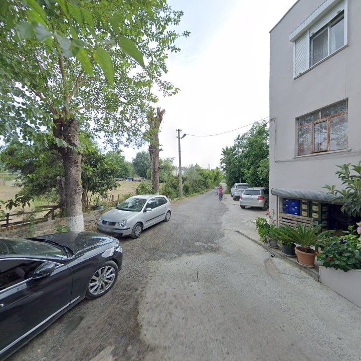 Fotoğraf 9