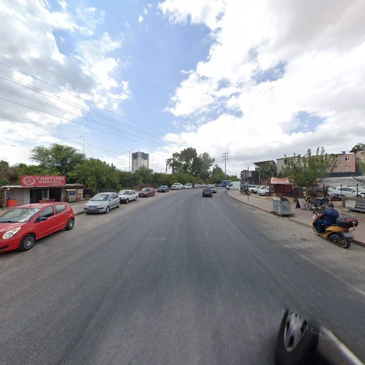 Fotoğraf 8