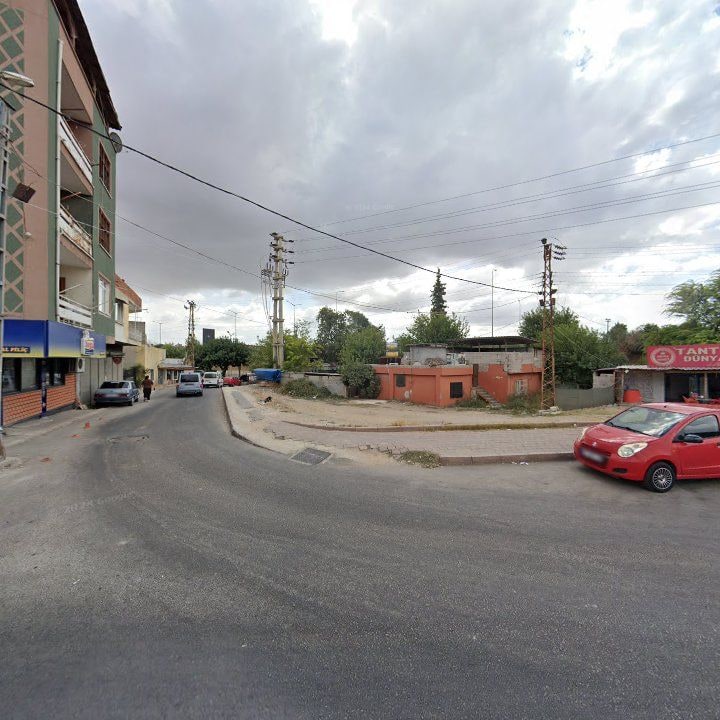Fotoğraf 7