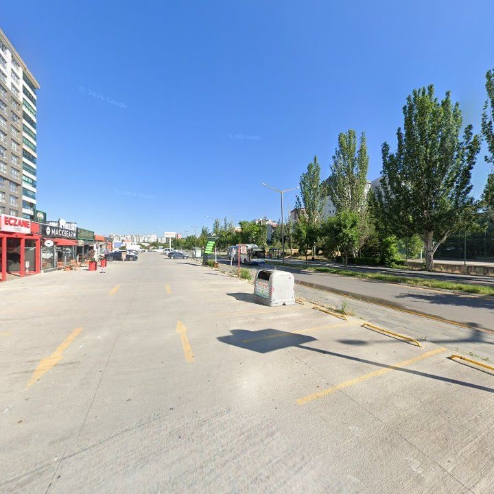 Fotoğraf 9