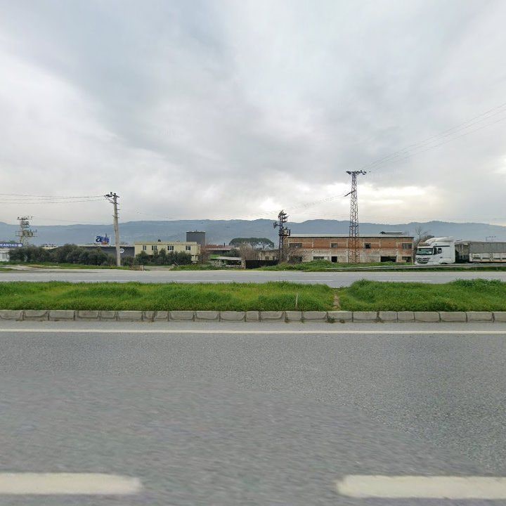 Fotoğraf 10