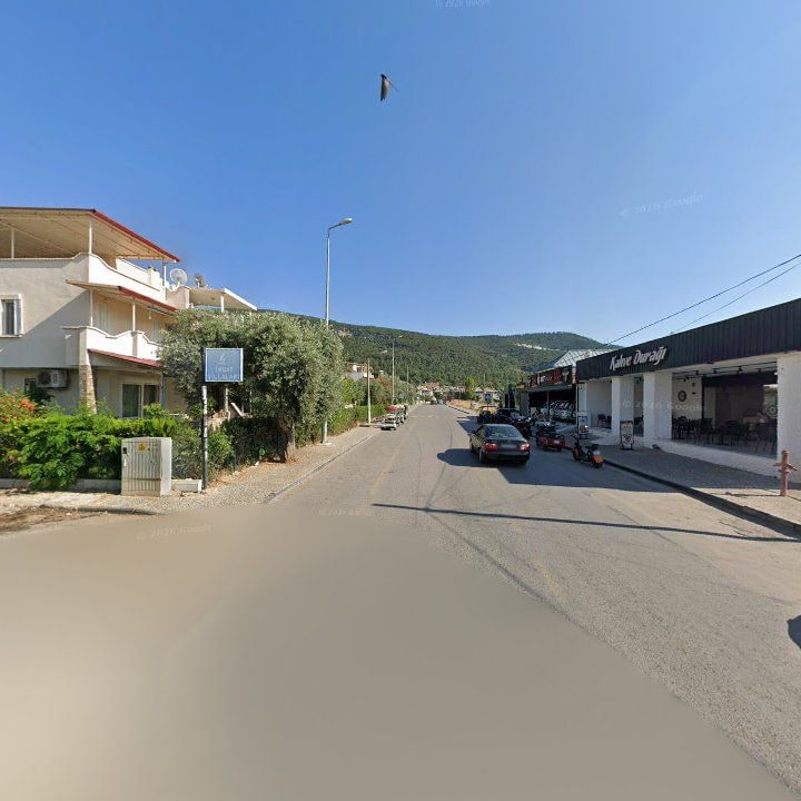 Fotoğraf 9