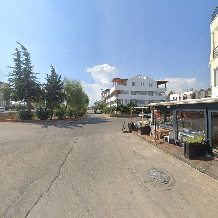 Fotoğraf 11