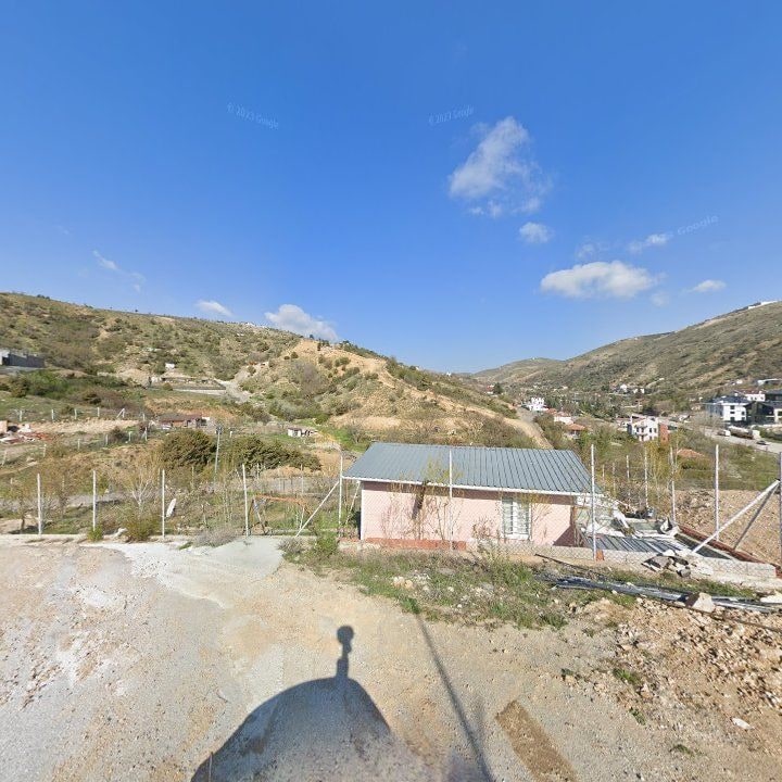Fotoğraf 9