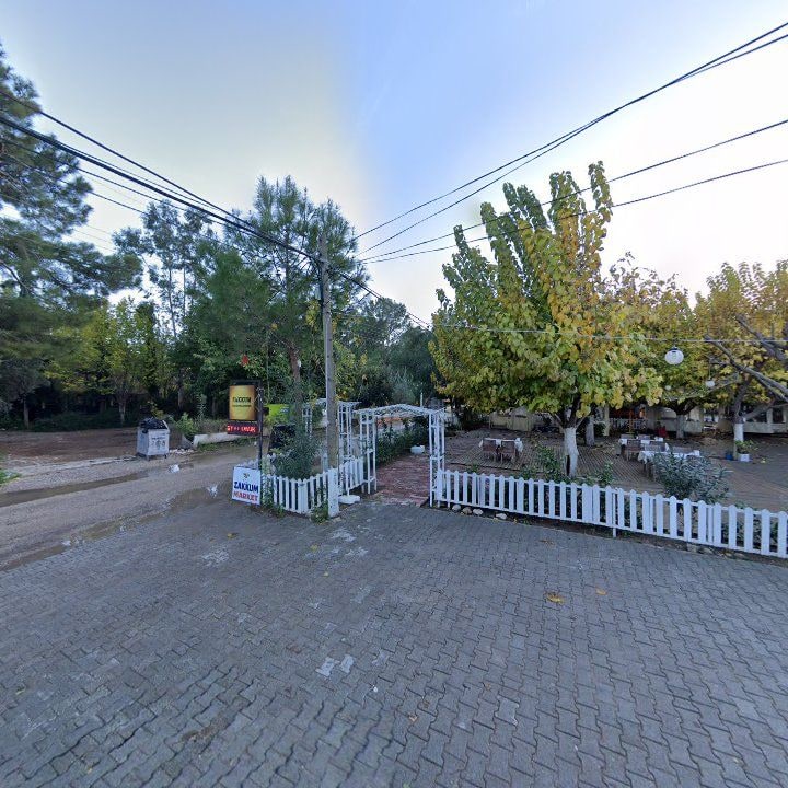 Fotoğraf 12