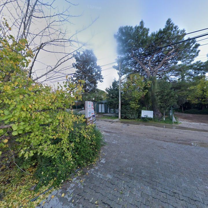 Fotoğraf 11