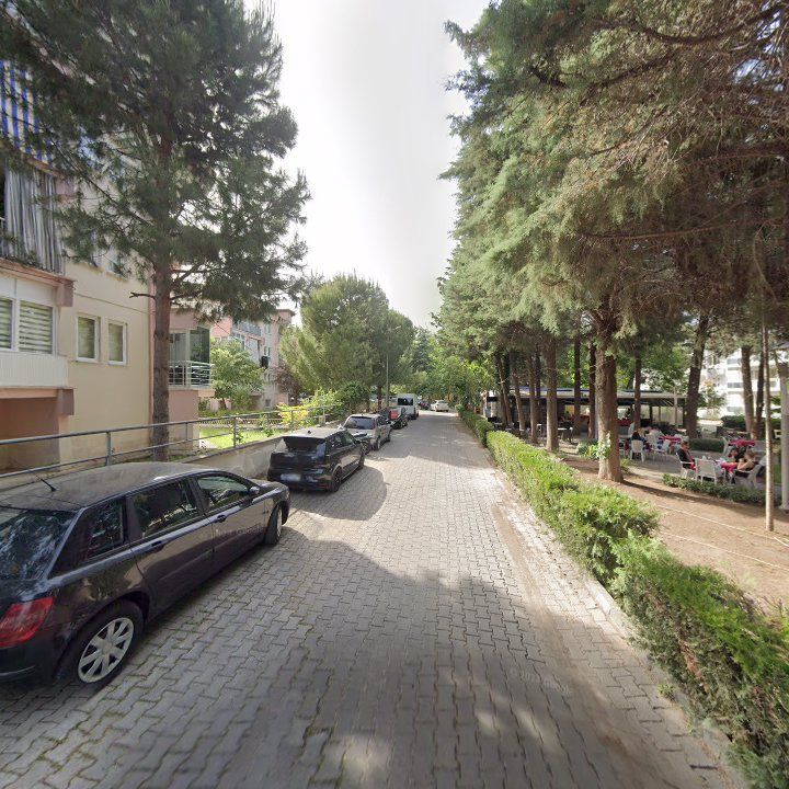 Fotoğraf 10