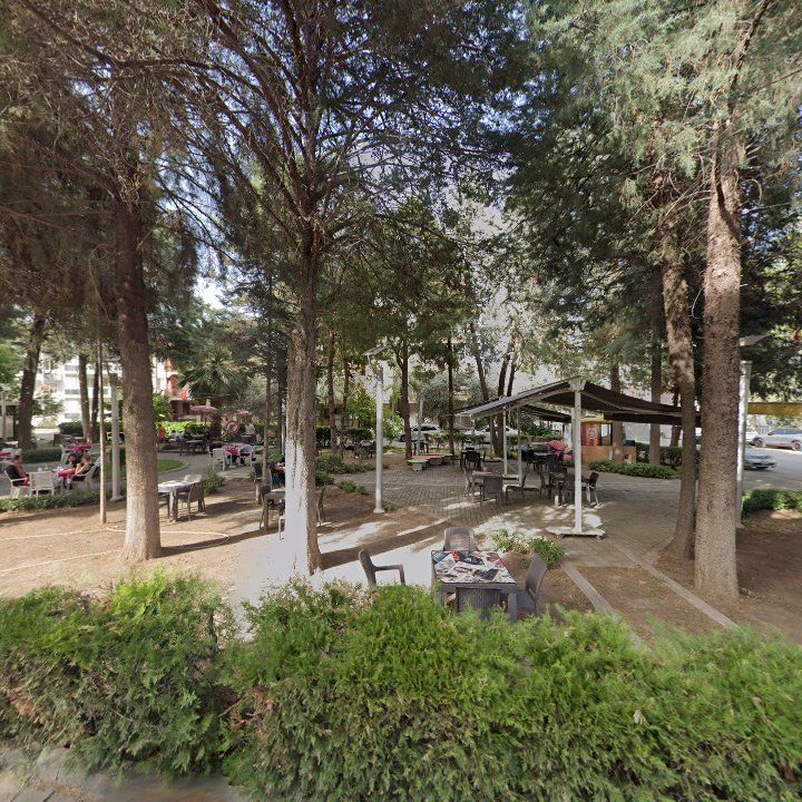 Fotoğraf 7