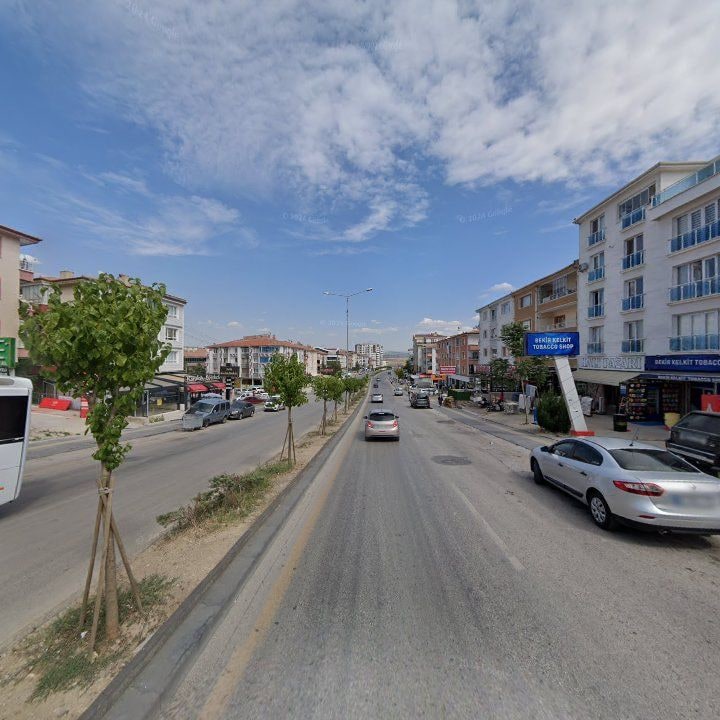 Fotoğraf 8